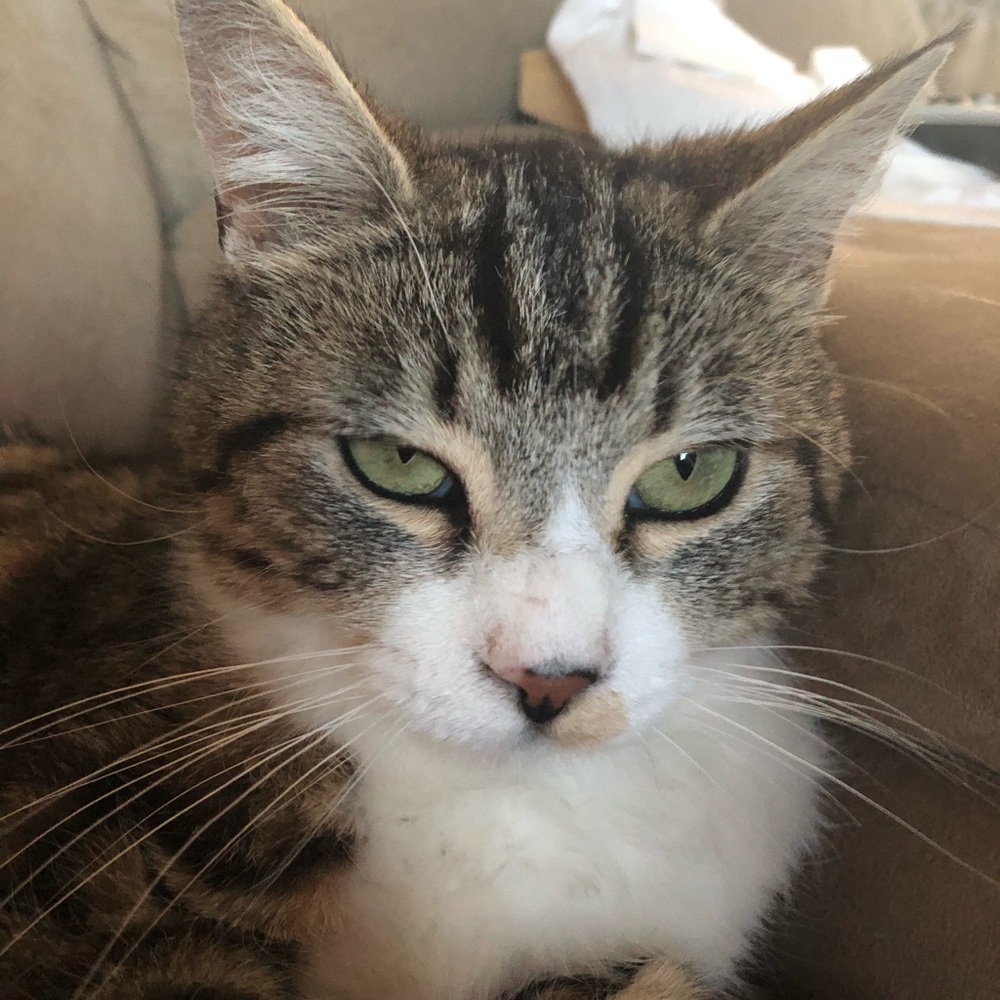 Meet your Posher, Leah